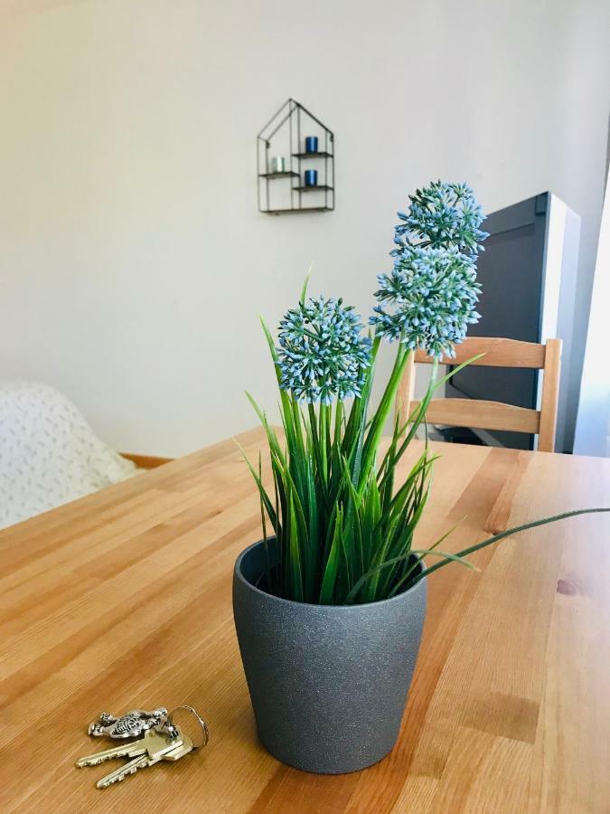 Apartment Mida Freiburg im Breisgau Buitenkant foto